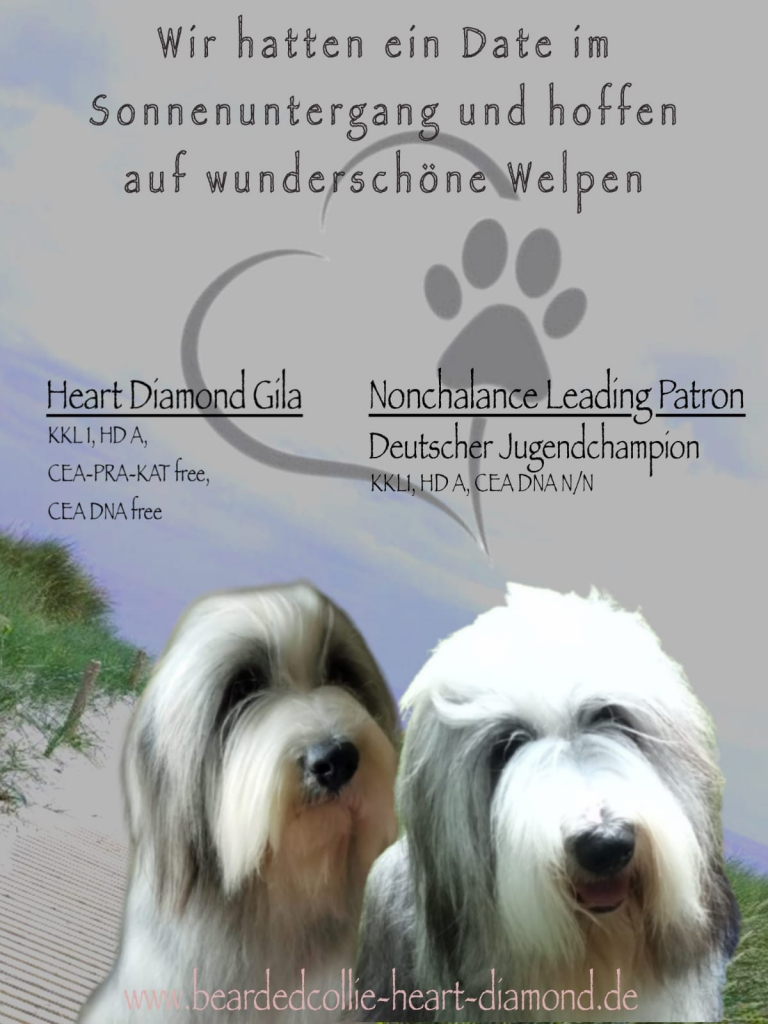 gila_ostsee